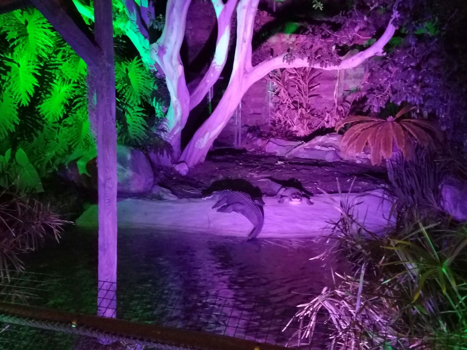 Los Angeles Zoo Lights