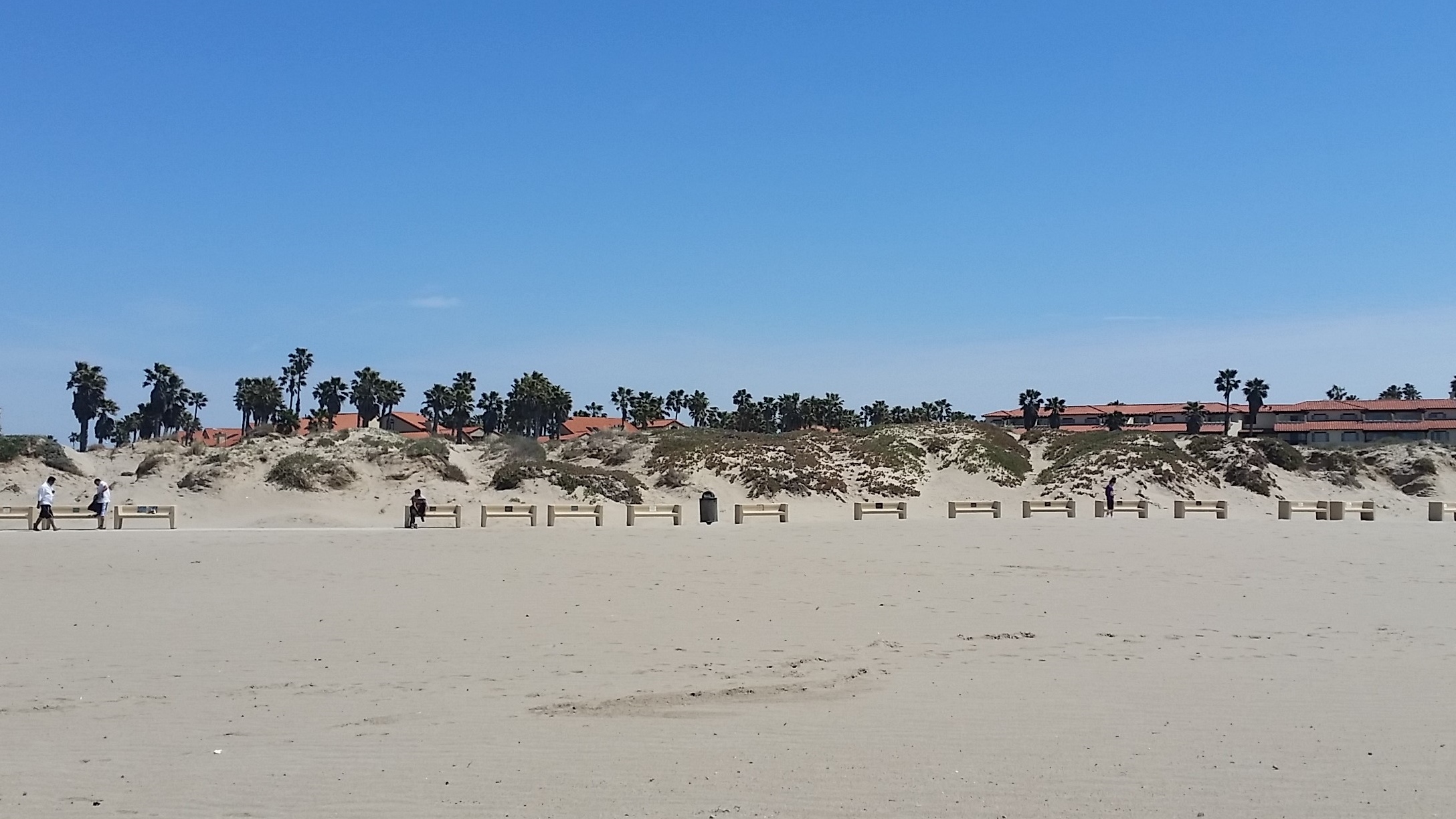 Mandalay State Beach: Where California Dreams Meet Coastal Bliss