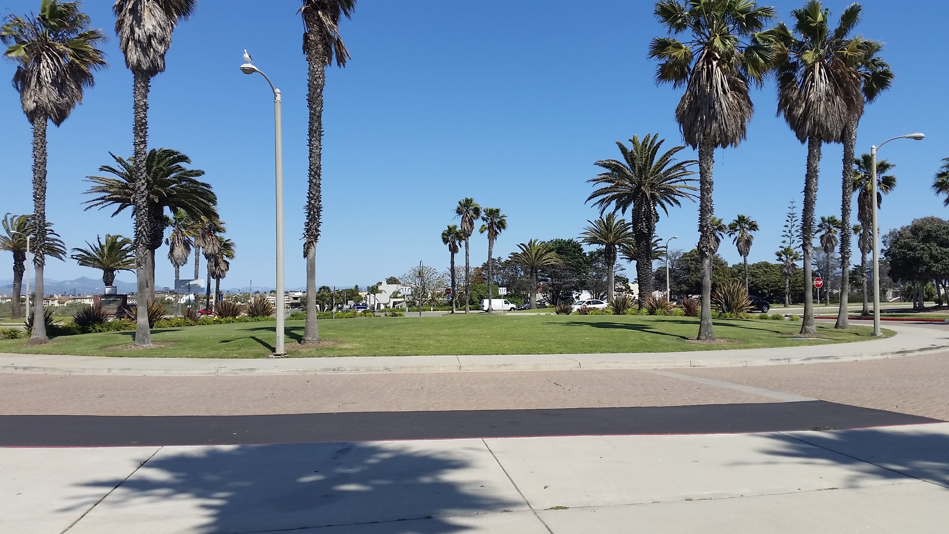 Mandalay State Beach: Where California Dreams Meet Coastal Bliss